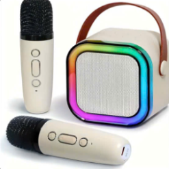Portable Karaoke System with 2 Wireless Microphones
